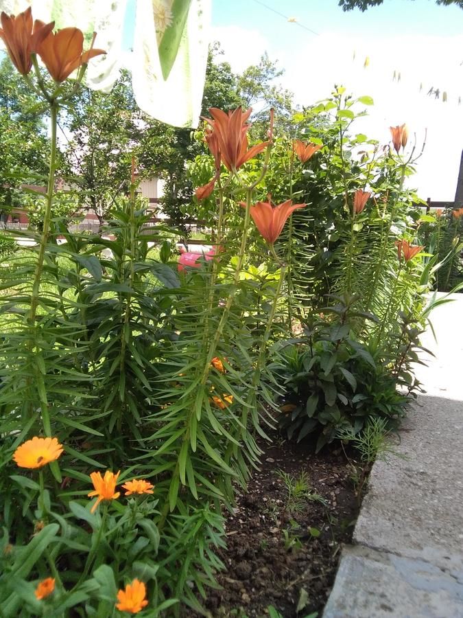 Апартаменты Apartments Obradović Milan Жабляк