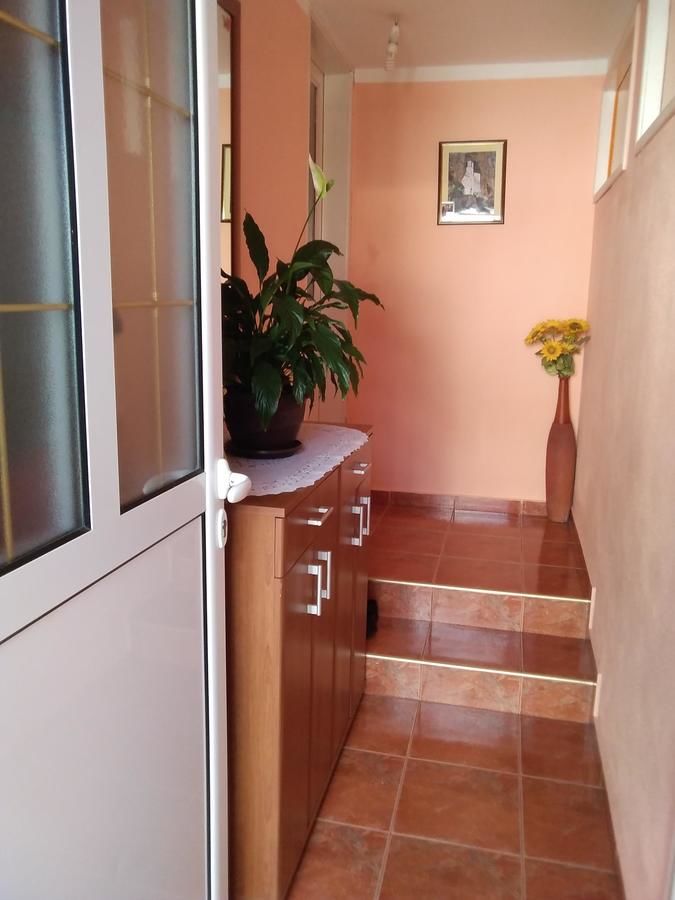 Апартаменты Apartments Obradović Milan Жабляк