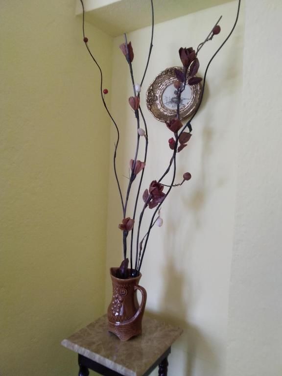 Апартаменты Apartments Obradović Milan Жабляк