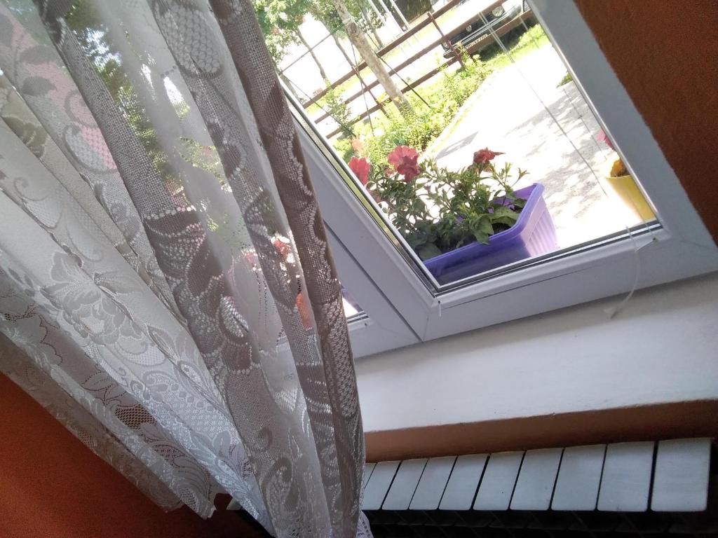 Апартаменты Apartments Obradović Milan Жабляк