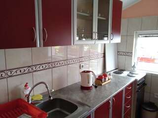 Апартаменты Apartments Obradović Milan Жабляк Апартаменты с 1 спальней и балконом-5