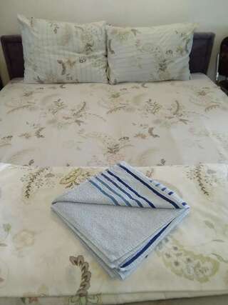 Апартаменты Apartments Obradović Milan Жабляк Апартаменты-студио-3