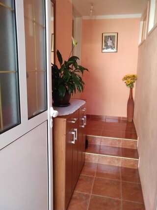 Апартаменты Apartments Obradović Milan Жабляк Апартаменты с 1 спальней и балконом-1