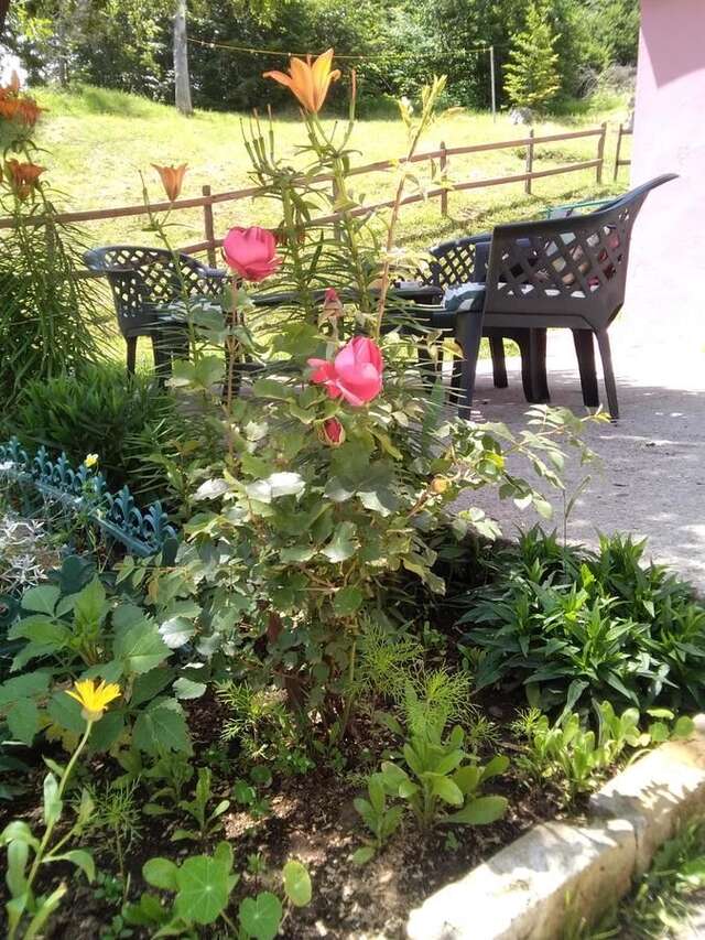 Апартаменты Apartments Obradović Milan Жабляк-5