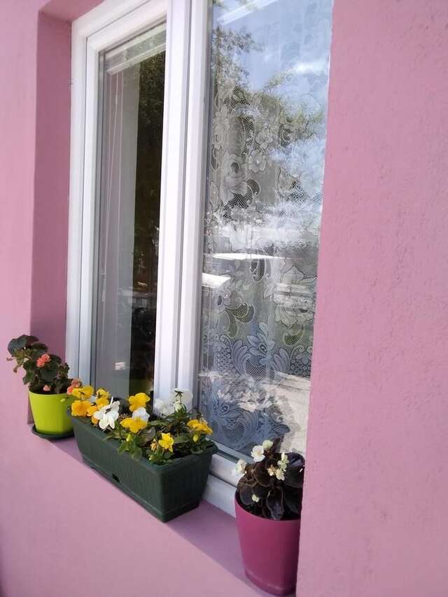 Апартаменты Apartments Obradović Milan Жабляк-44